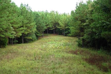 Timberland Property in Sumter County, Alabama