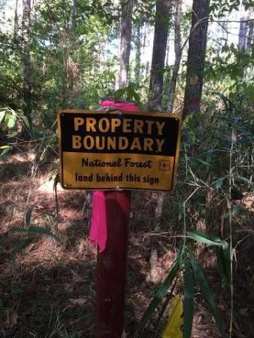 Land in Amite County, Mississippi