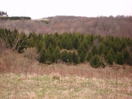 Land in Vernon County, Wisconsin