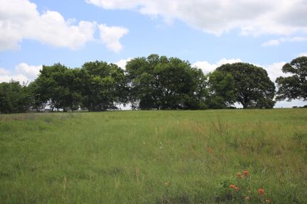 Timberland Property in Henderson County, Texas