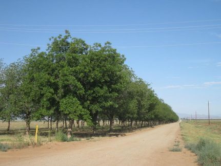 Farm and Ranch in Cochise County, Arizona