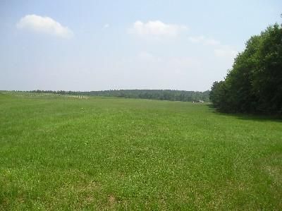 Recreational Property in Covington County, Alabama