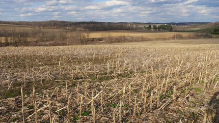 Farm and Ranch in Muskingum County, Ohio