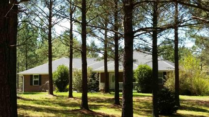 Recreational Property in Chambers County, Alabama