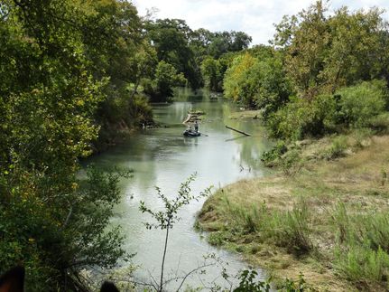 Farm and Ranch in Caldwell County, Texas