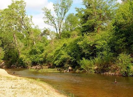 Riverfront Property in Walthall County, Mississippi