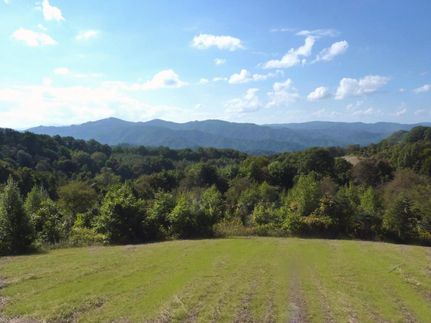 Farm and Ranch in Madison County, North Carolina