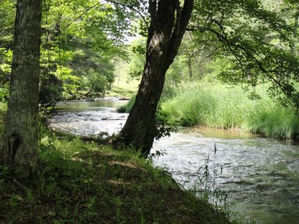 Undeveloped Land in Floyd County, Virginia