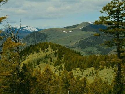 Farm and Ranch in Beaverhead County, Montana