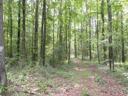 Farm and Ranch in Butler County, Alabama