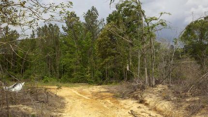 Land in Union Parish, Louisiana