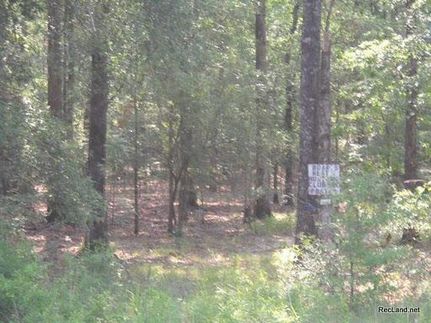 Land in Jackson Parish, Louisiana