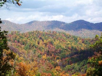 Farm and Ranch in Hawkins County, Tennessee