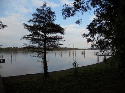 Timberland Property in Wilkinson County, Mississippi