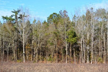 Farm and Ranch in Florence County, South Carolina
