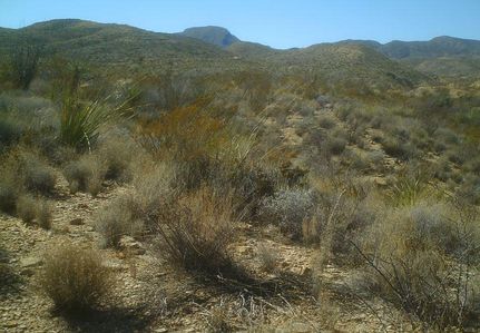 Hunting Property in Brewster County, Texas