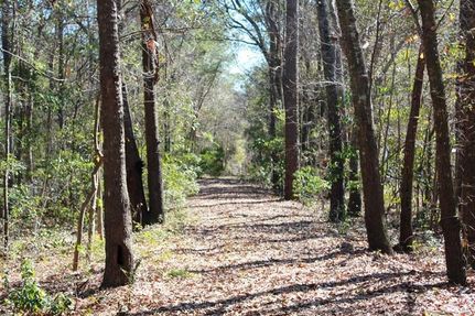 Land in Charleston County, South Carolina