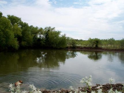 Land in Limestone County, Texas