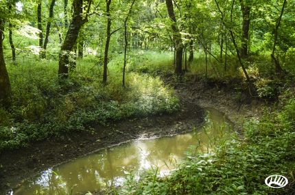 Timberland Property in Labette County, Kansas