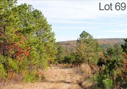 Undeveloped Land in Latimer County, Oklahoma