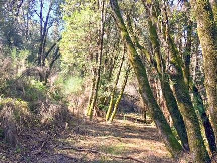 Recreational Property in Nevada County, California