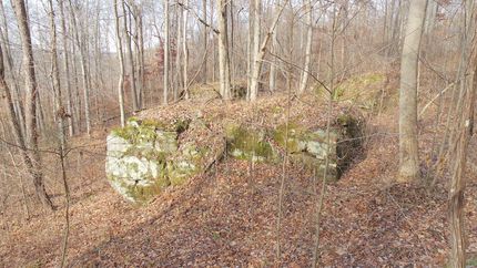 Timberland Property in Guernsey County, Ohio