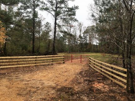 Undeveloped Land in Amite County, Mississippi