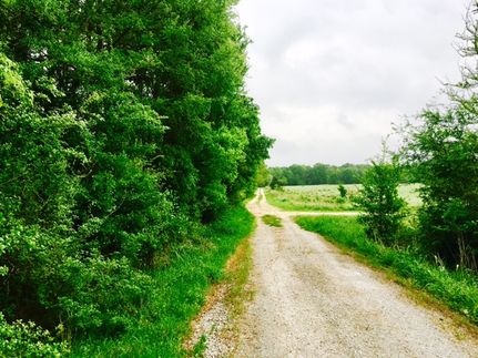 Farm and Ranch in Leon County, Texas