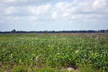 Riverfront Property in Bowie County, Texas