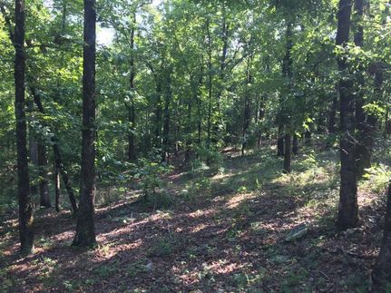 Land in Stone County, Arkansas
