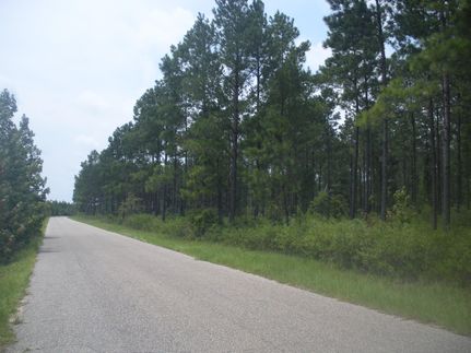 Farm and Ranch in Escambia County, Alabama