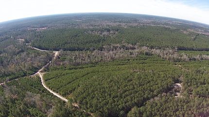 Land in Polk County, Texas