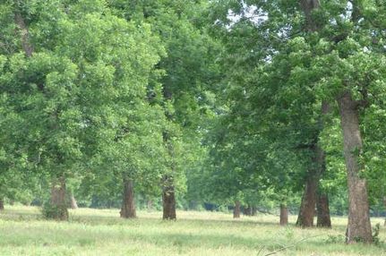 Commercial Property in Okmulgee County, Oklahoma