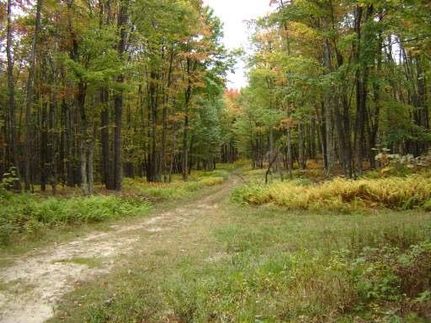 Land in Clinton County, Pennsylvania