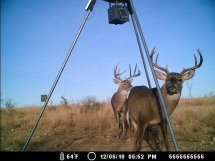 Farm and Ranch in Sterling County, Texas