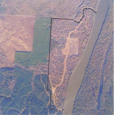 Timberland Property in Wilcox County, Alabama