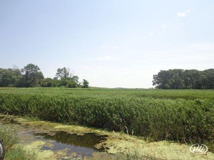 Farm and Ranch in Winnebago County, Iowa
