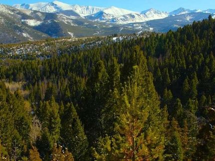 Land in Deer Lodge County, Montana