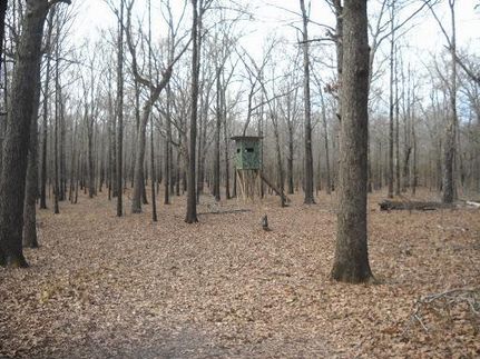 Land in Ouachita Parish, Louisiana