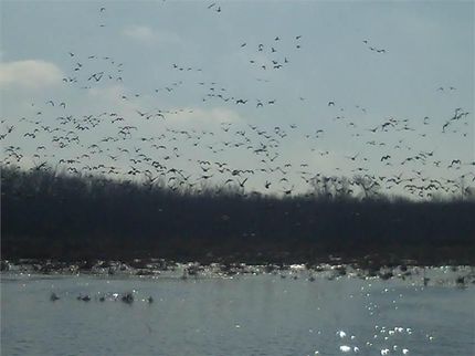 Land in Caldwell County, Missouri