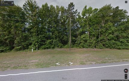 Undeveloped Land in McIntosh County, Georgia