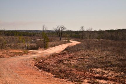 Farm and Ranch in Crenshaw County, Alabama