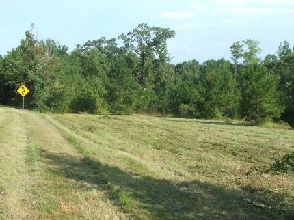 Land in Dallas County, Alabama