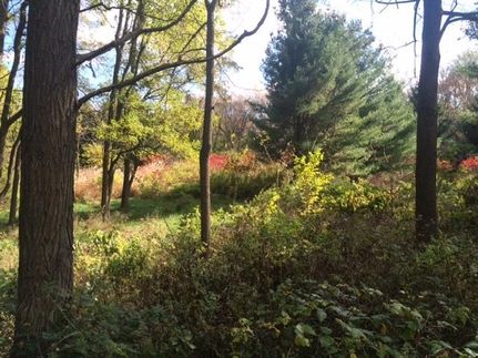 Recreational Property in Dane County, Wisconsin