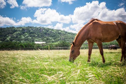 Farm and Ranch in Kerr County, Texas