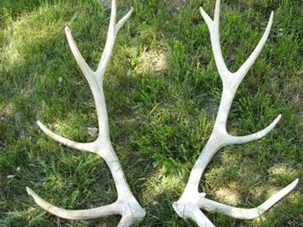 Farm and Ranch in Rosebud County, Montana