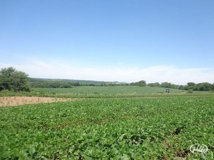 Farm and Ranch in Monroe County, Iowa