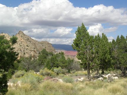 Recreational Property in Wayne County, Utah