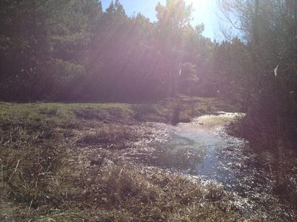 Land in Franklin County, Mississippi