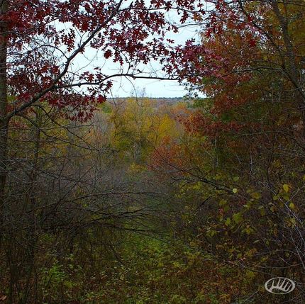 Land in Goodhue County, Minnesota